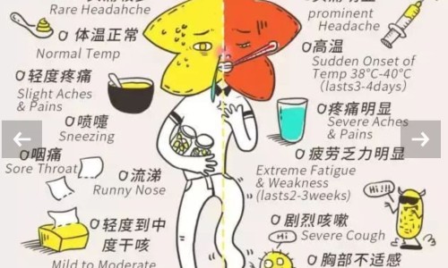 昆中药感冒疏风说明书-专业云南感冒疏风丸平台-感冒疏风胶囊治风寒还是风热感冒